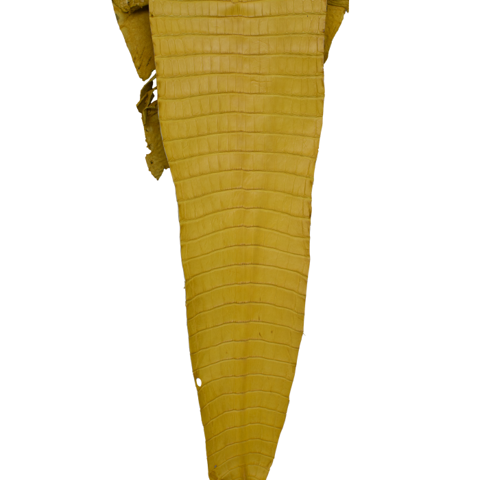 dc9f41db33f73fa4d6a494d446a48586.png