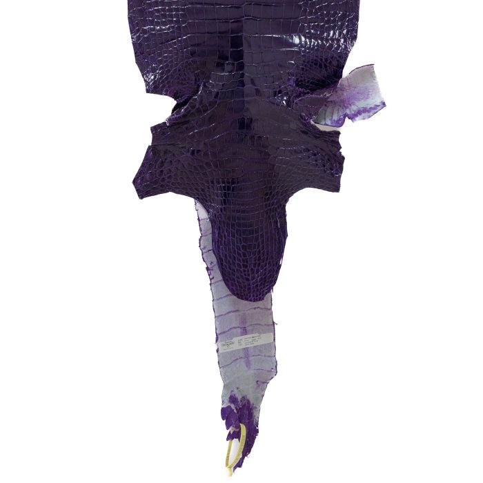 e3bc28b66b4d3fd890152db9f78d1f64.jpg