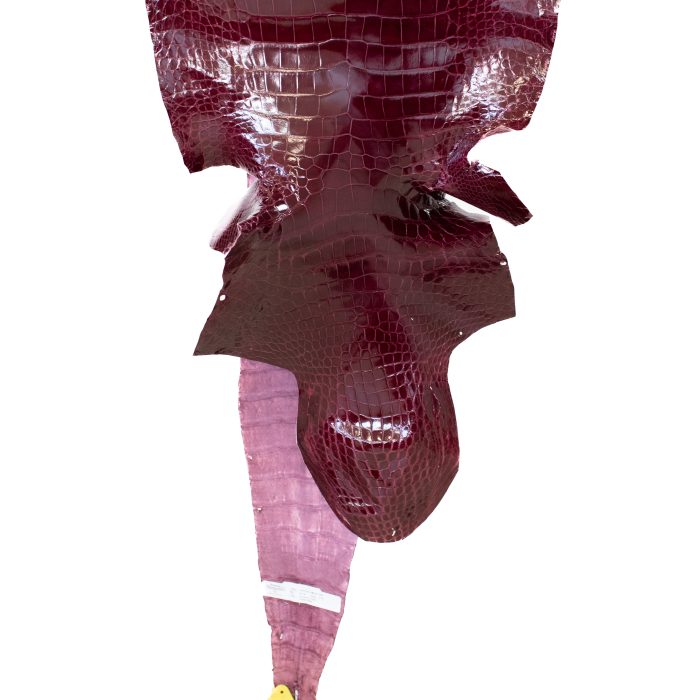 e6960adadf1c9d045f2d362ad6385457.jpg