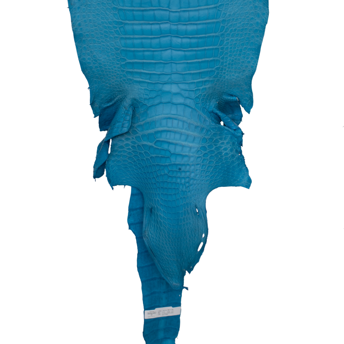 e8a3d0ba15b2a28c3386e7ab73133011.png