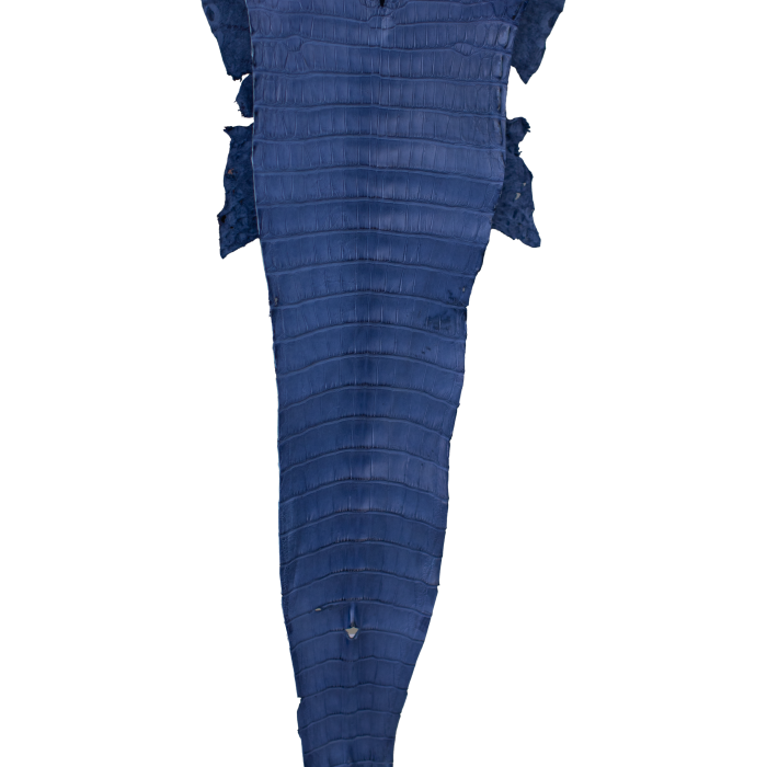 e8eb7939659ad5d15e1d42c8d0015cb3.png