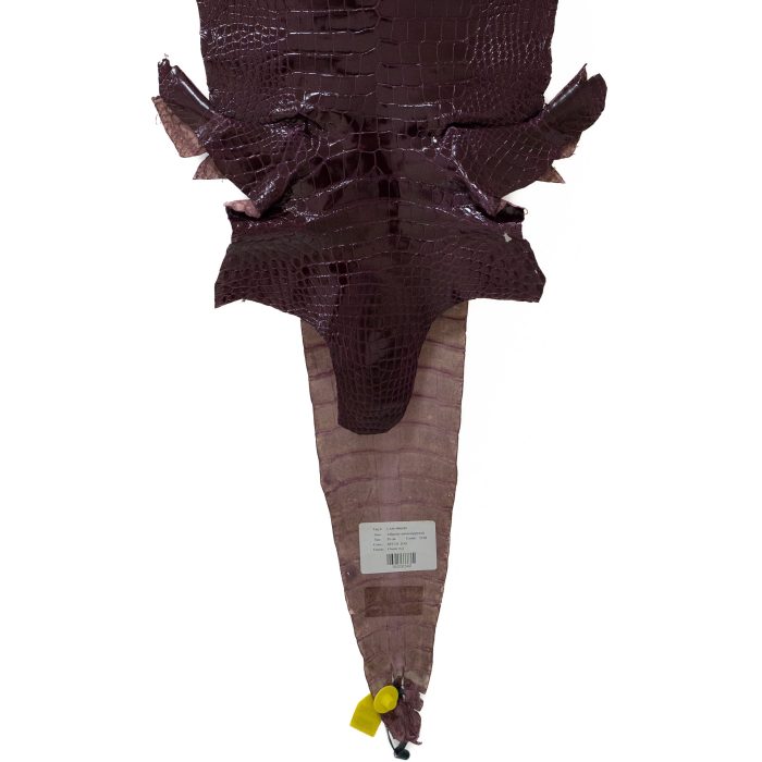 ec10adeadf0c96fa25d9c10299c4d6f3.jpg
