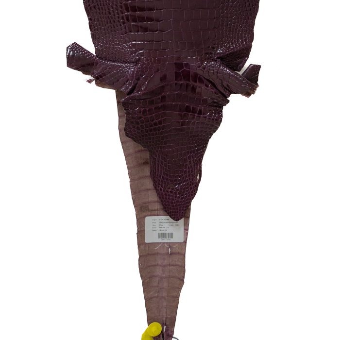 eebbee036438ec4ca061ab8aeae05eec.jpg
