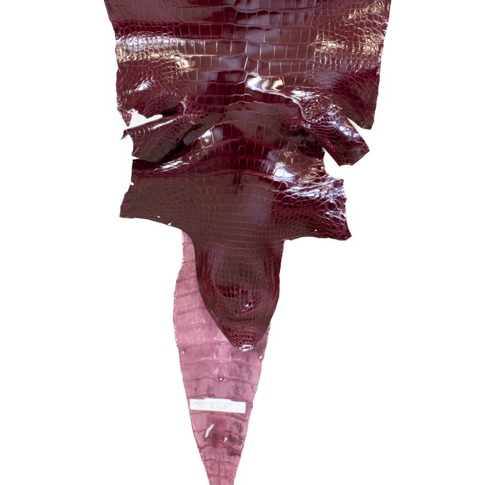 f08aad6aee3d8f2ae2dd1628e1072f73.jpg