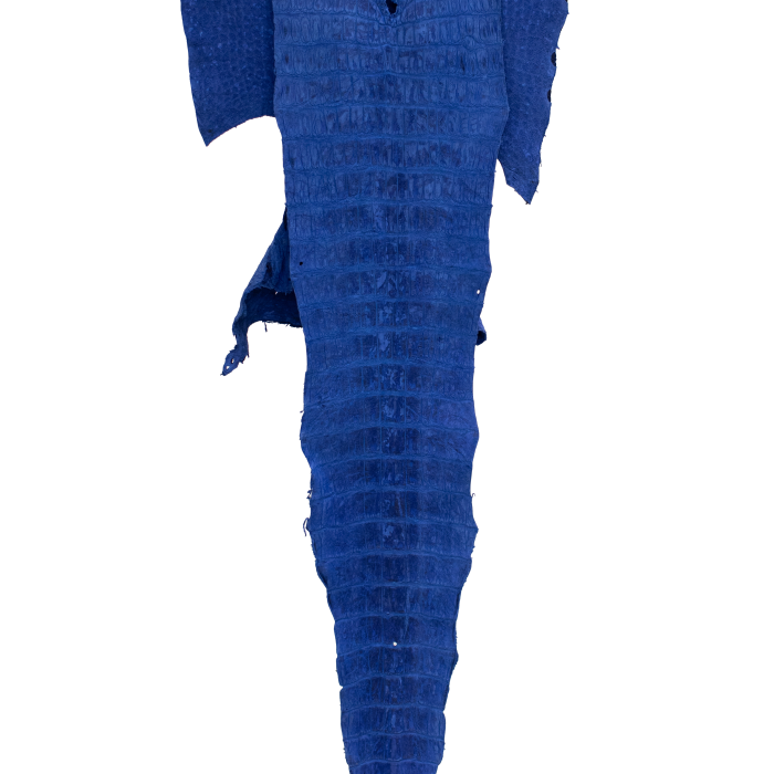 f0d8369f514fec73563f210a7b072f65.png