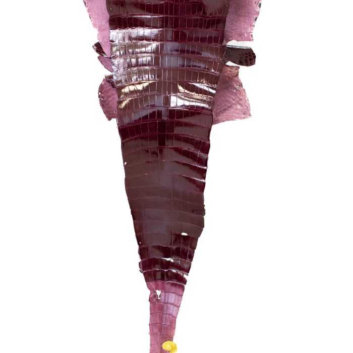 f2ea2f98eae64ff853e2f401873107b0.jpg