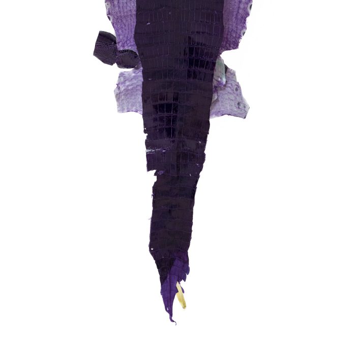 f33037fbe3238677c98b06e894c1e868.jpg