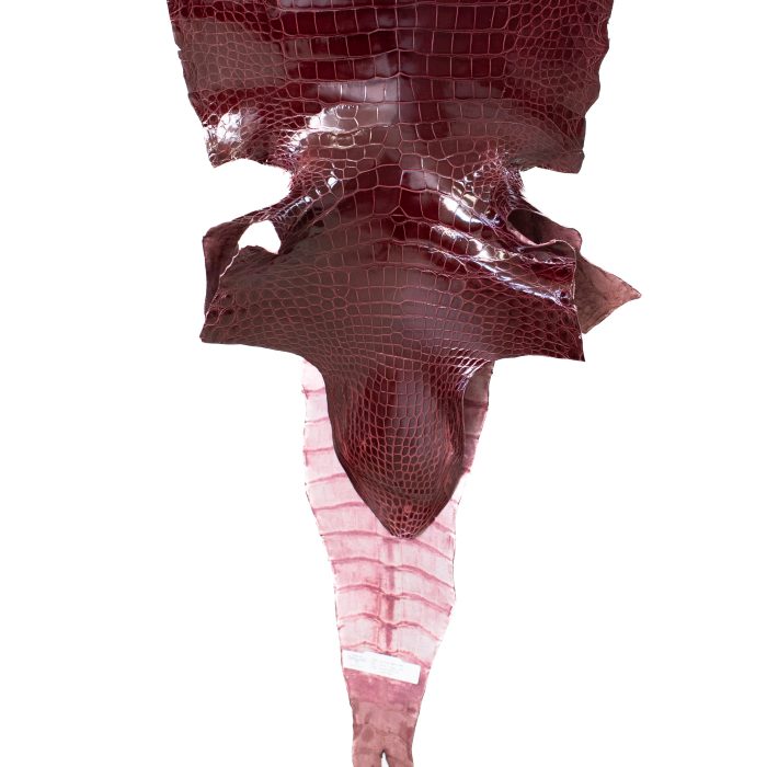 f404a75c1369273d2e6f6d446e4b1418.jpg