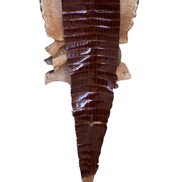 fe77480d009d6003c6d8b8ea3bf6a2b4.png